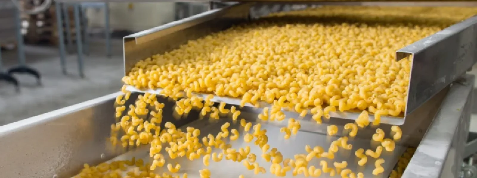 food safety